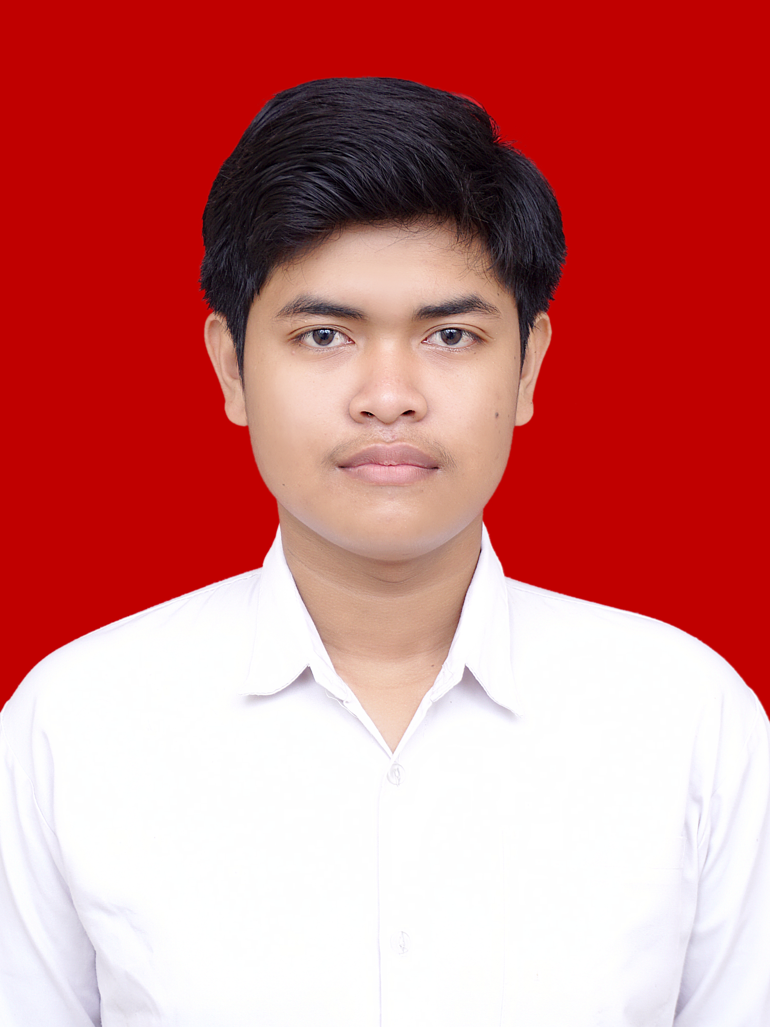 Digital Tree Illustration